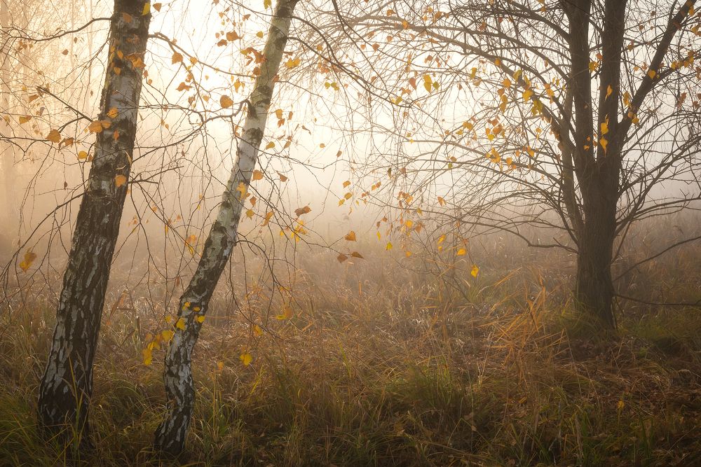 Photograph by Захаров Дмитрий