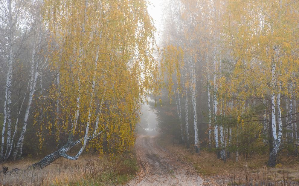 Photograph by Захаров Дмитрий