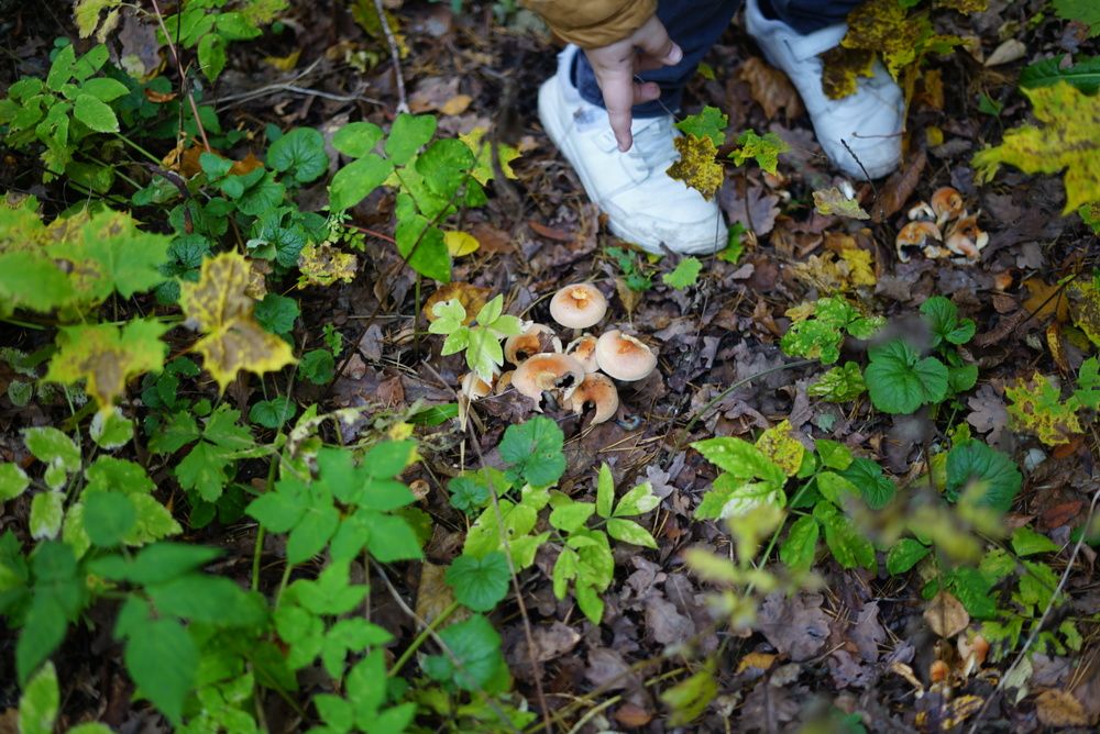 Photograph by Эвелина Моисеева