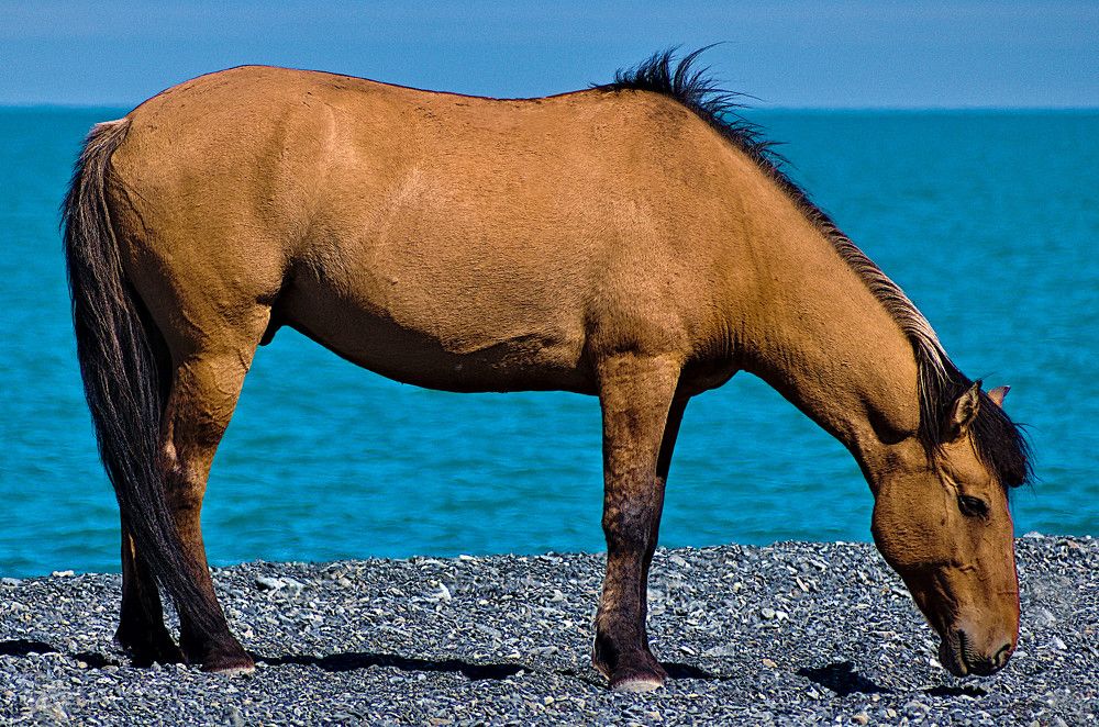 Photograph by Marina Weiland