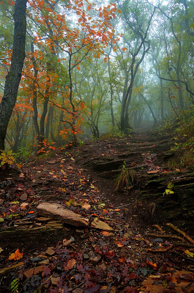 Photograph by Вадим Юрьевич