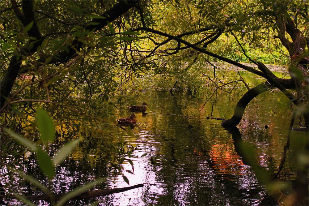 Photograph by Aleksandr Larionov