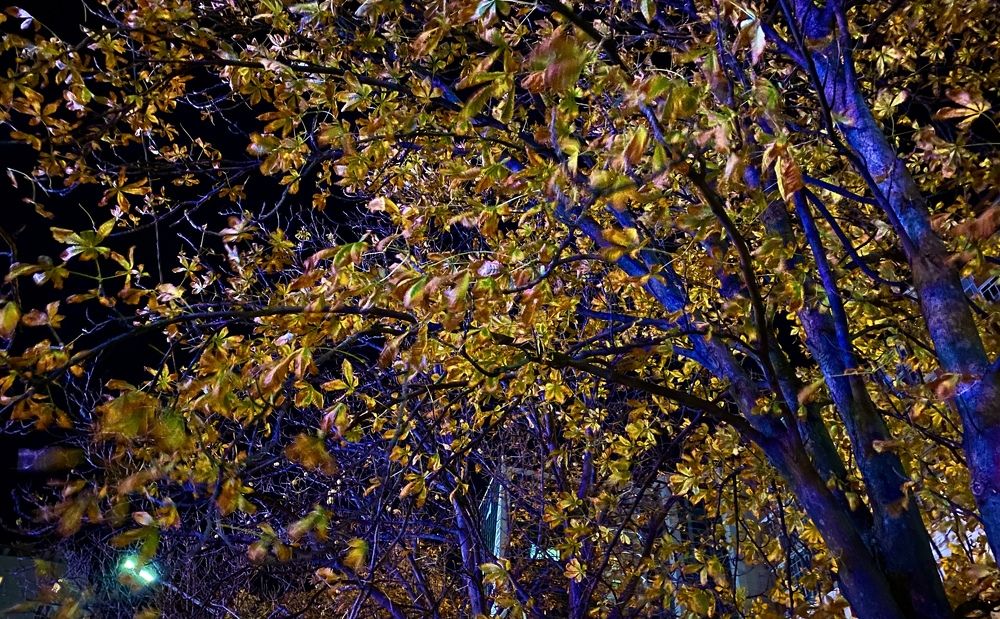 Photograph by Сергей Смирнов