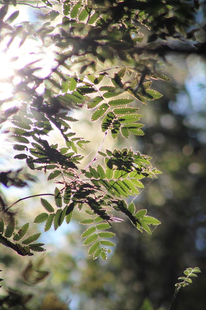 Photograph by Марина Кравцова