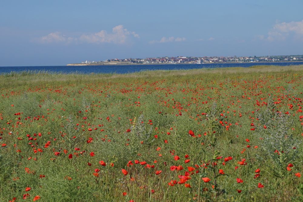 Photograph by Эвелина Моисеева