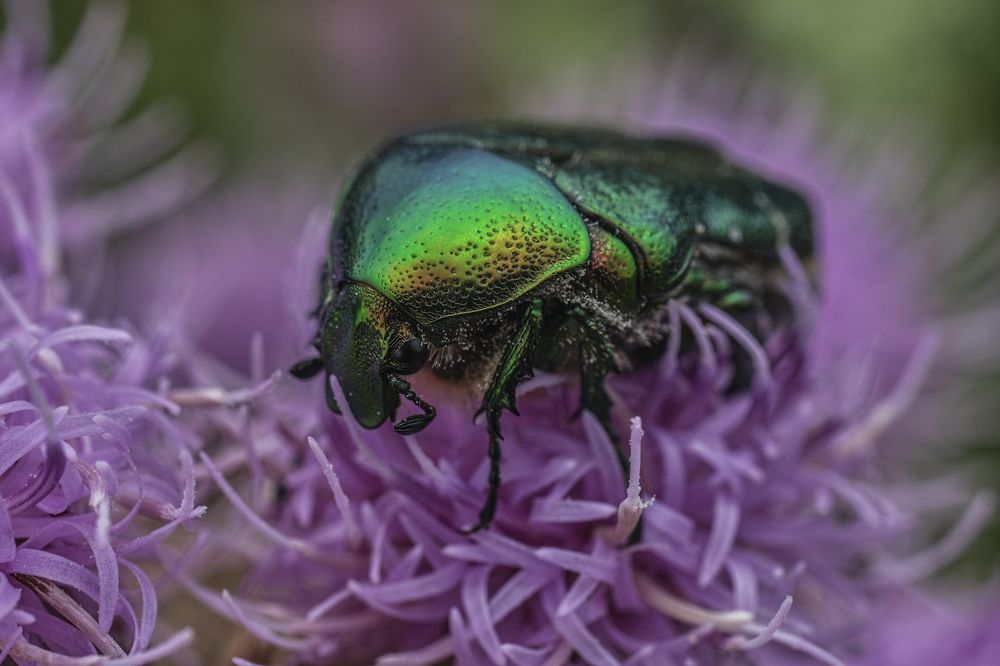 Фотография автора Eimar Kull