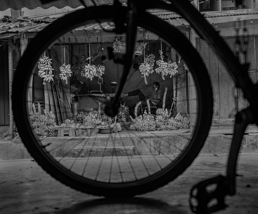 Фотография автора Laddu Sasindu Pramuditha De Silva