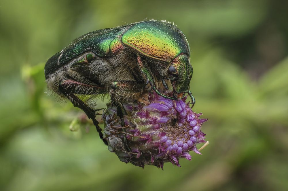 Фотография автора Eimar Kull