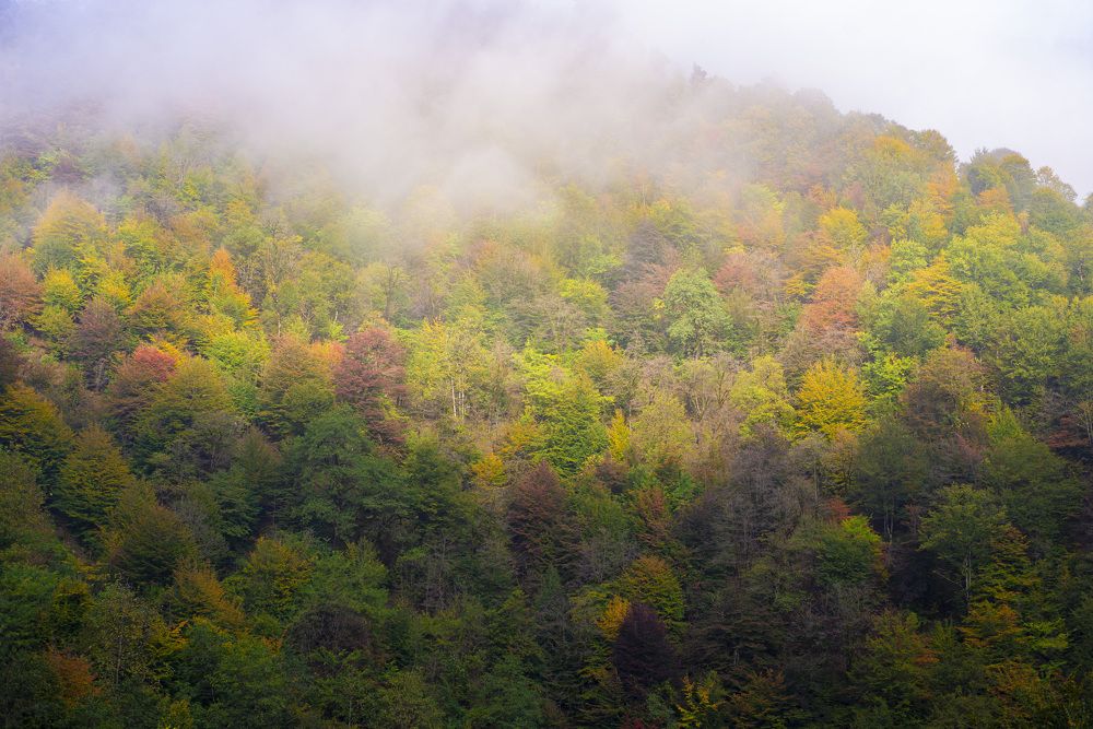 Photograph by Reza Mohammadi