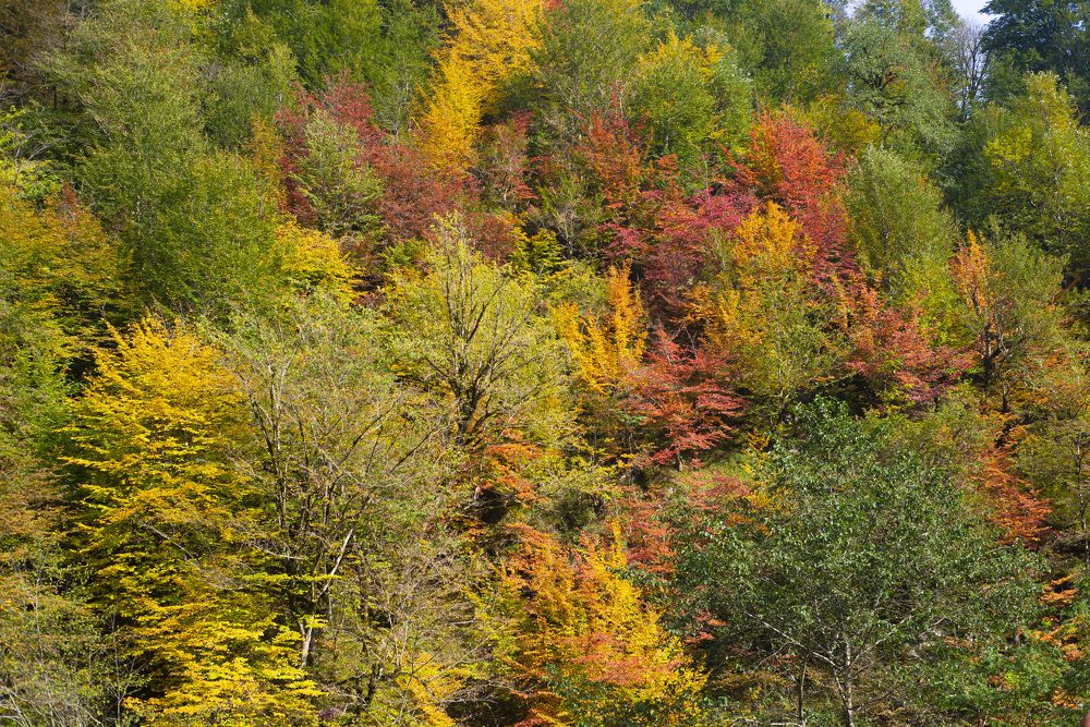 Photograph by Reza Mohammadi