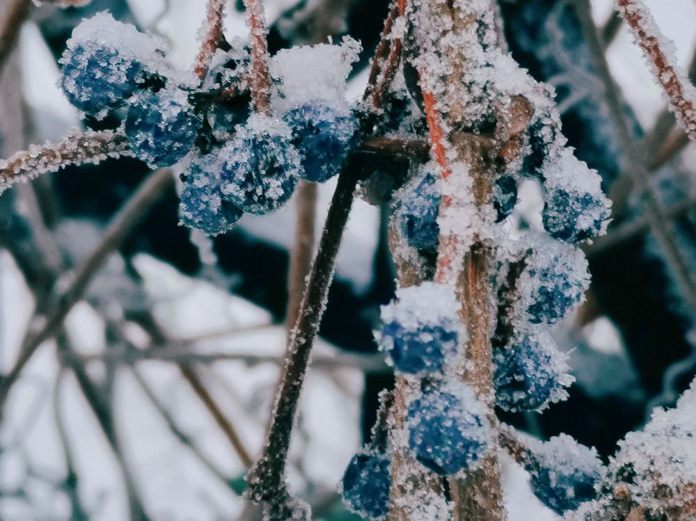 Photograph by Ольга Яценко
