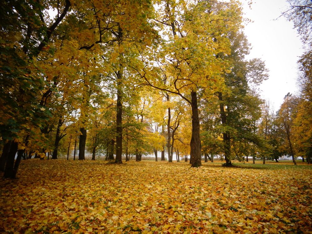 Photograph by Екатерина Щербина