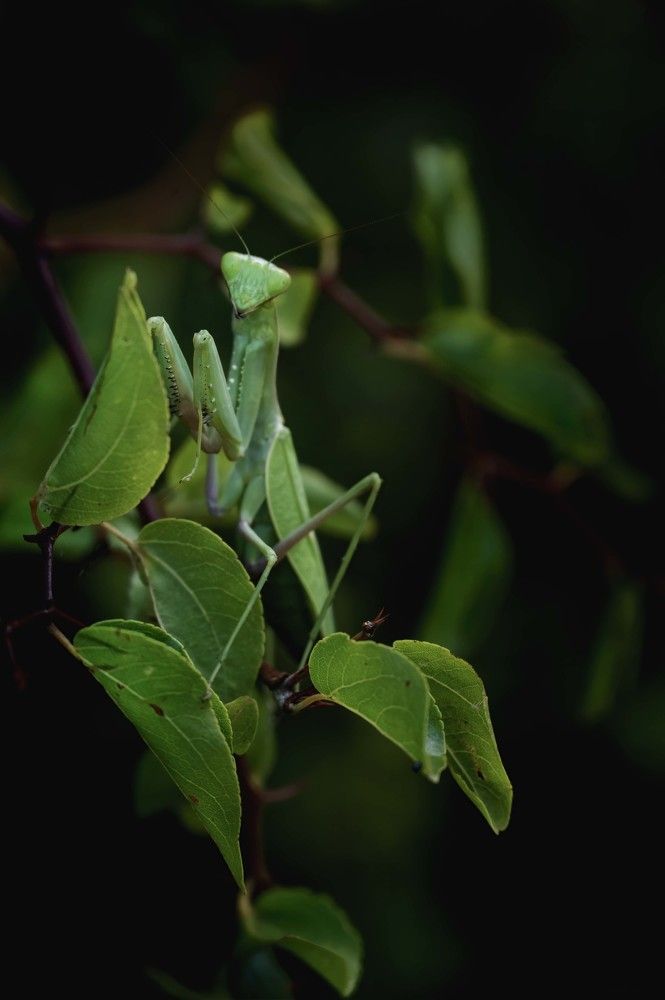 Photograph by Laima Kuriene