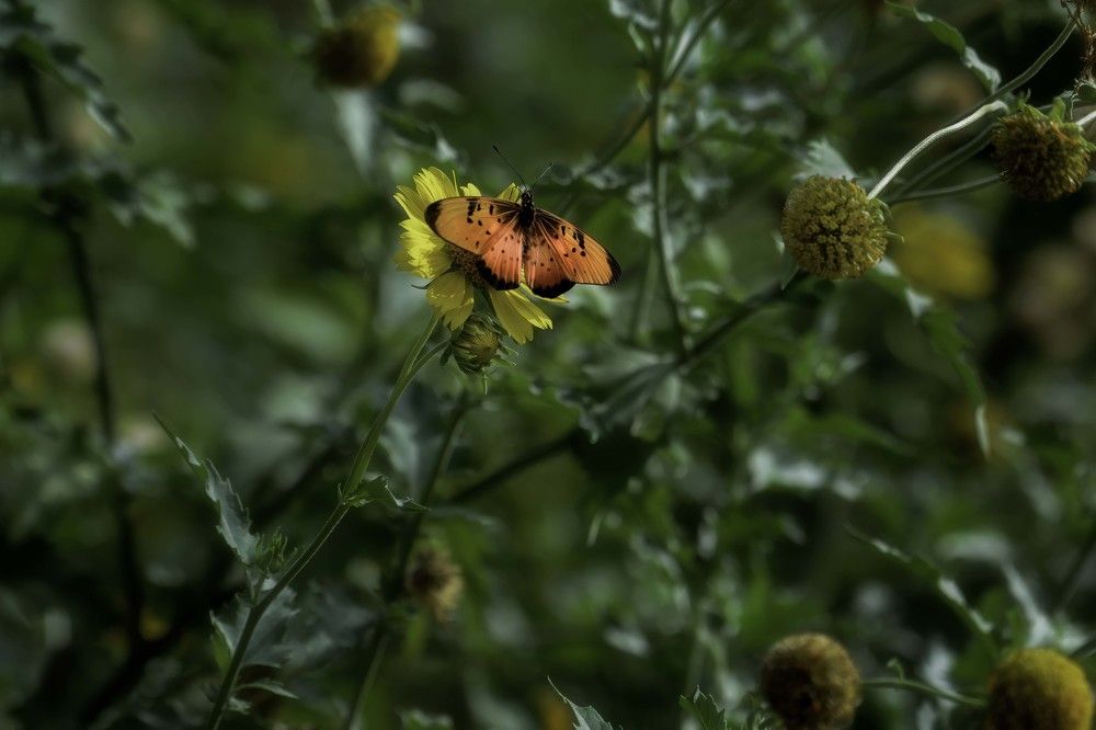 Photograph by Laima Kuriene