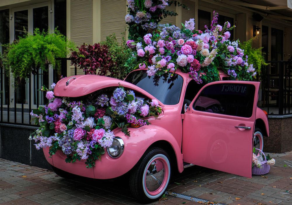 Фотография автора Олег Смирнов