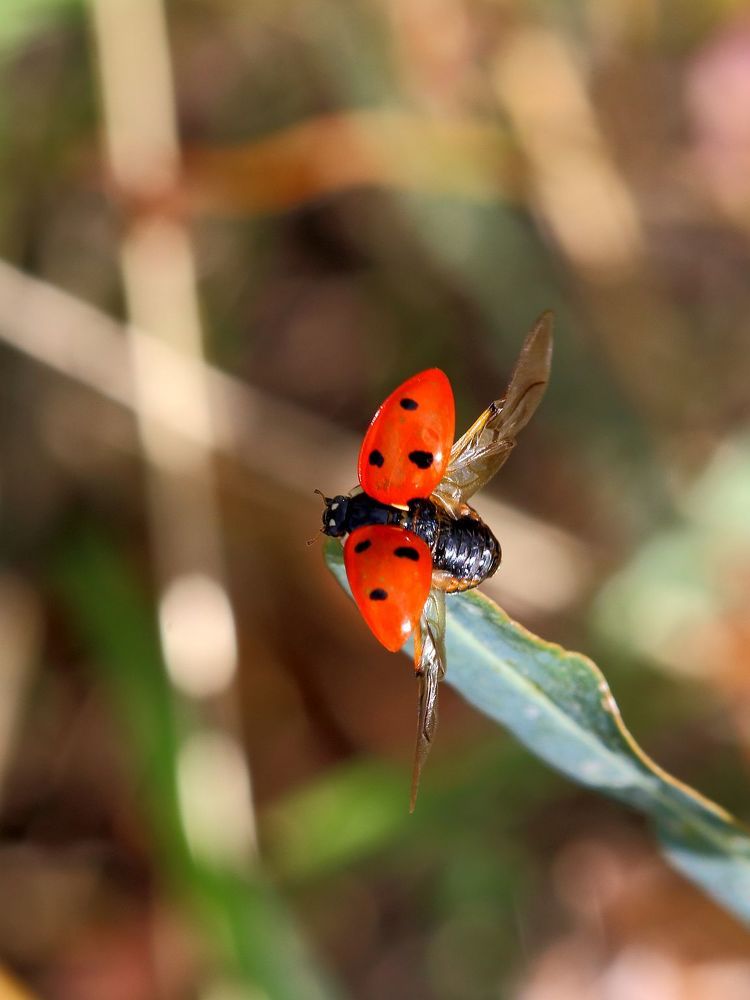 Photograph by Юрий Варюхин