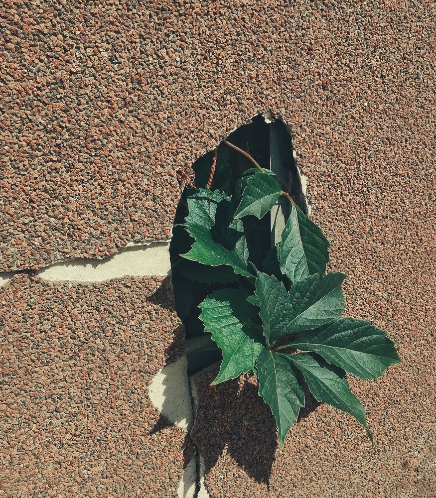 Photograph by Татьяна Смирнова