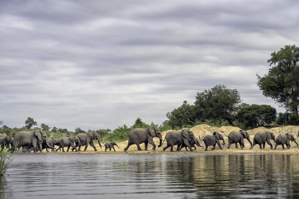 Photograph by Laima Kuriene