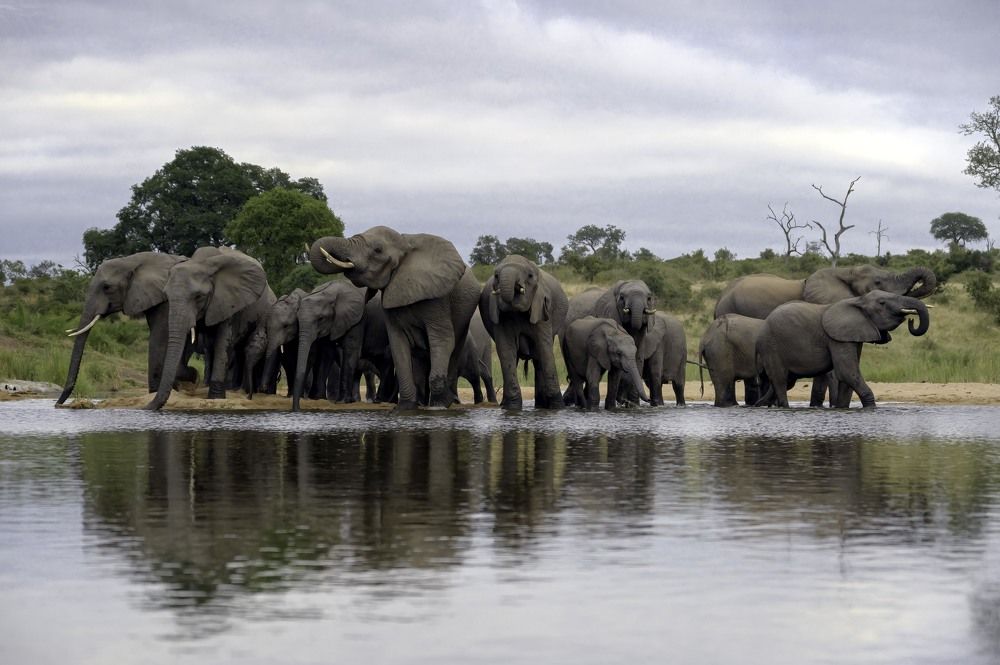 Photograph by Laima Kuriene