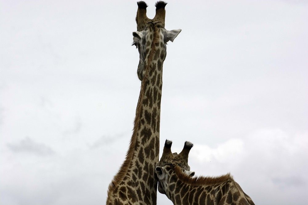 Photograph by Laima Kuriene