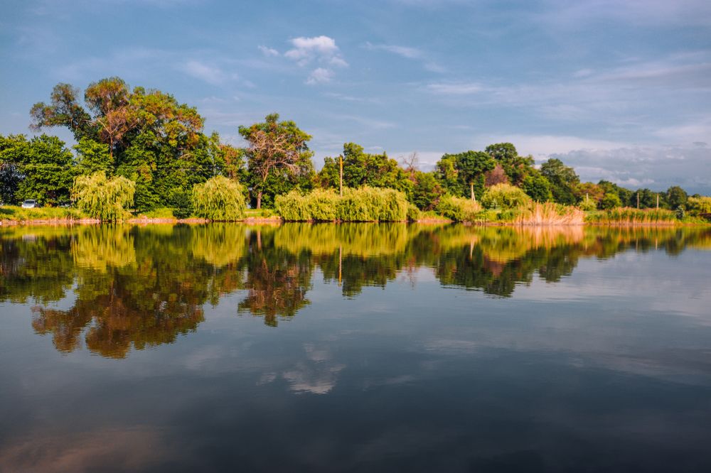 Photograph by Елена Сураева