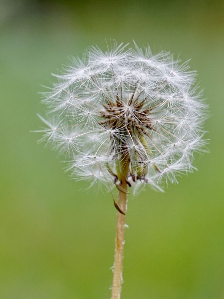 Photograph by Elena Budycheva