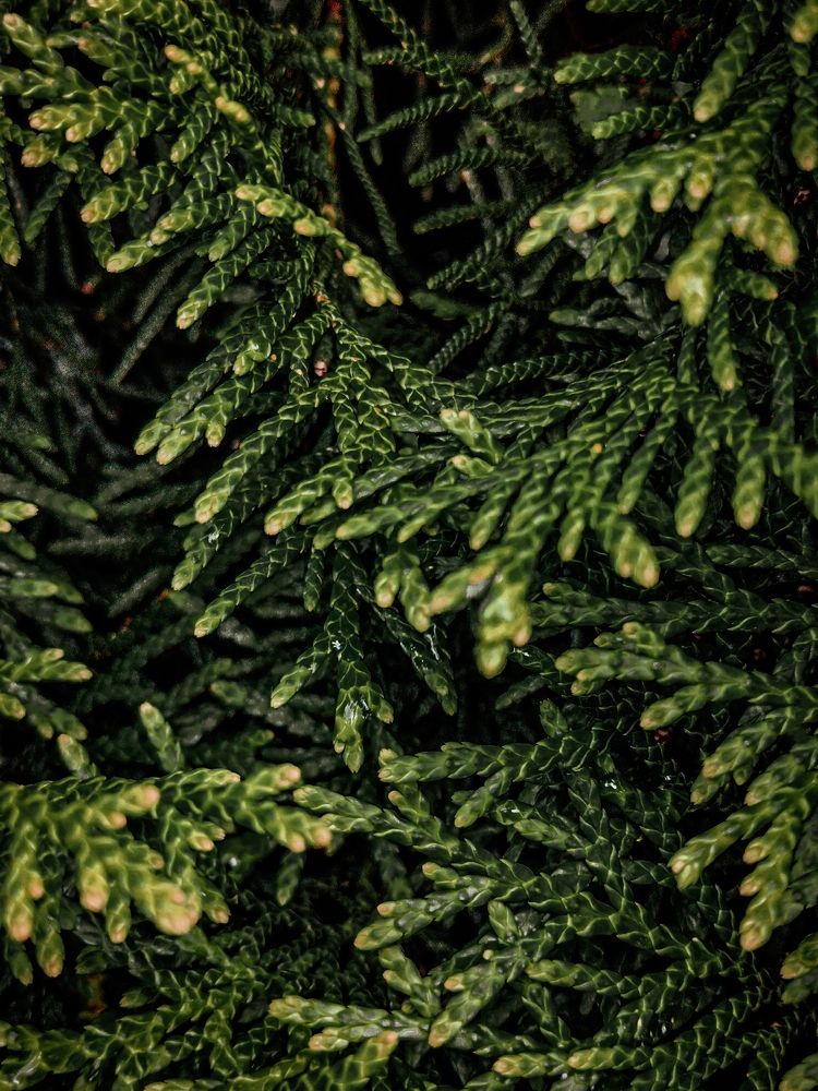 Photograph by Александра Якуцевич