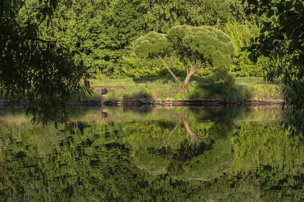 Photograph by Светлана Мельник