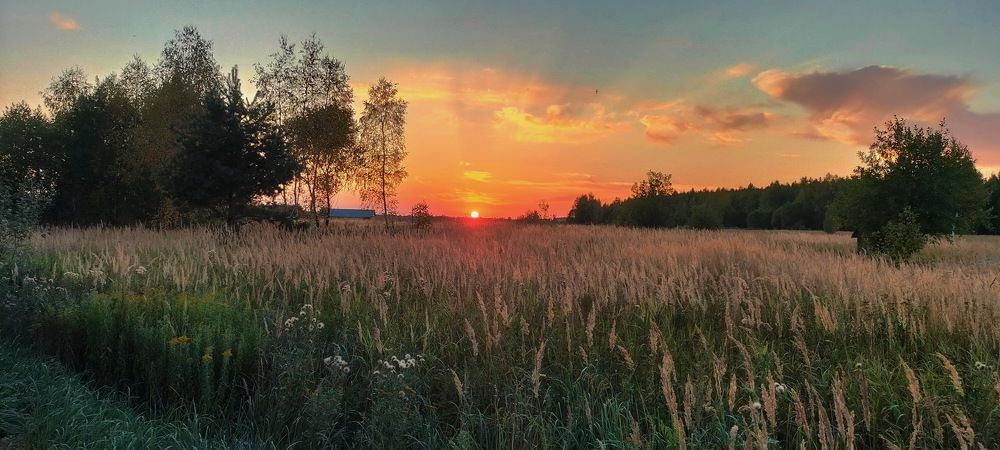 Photograph by Новиков Михаил