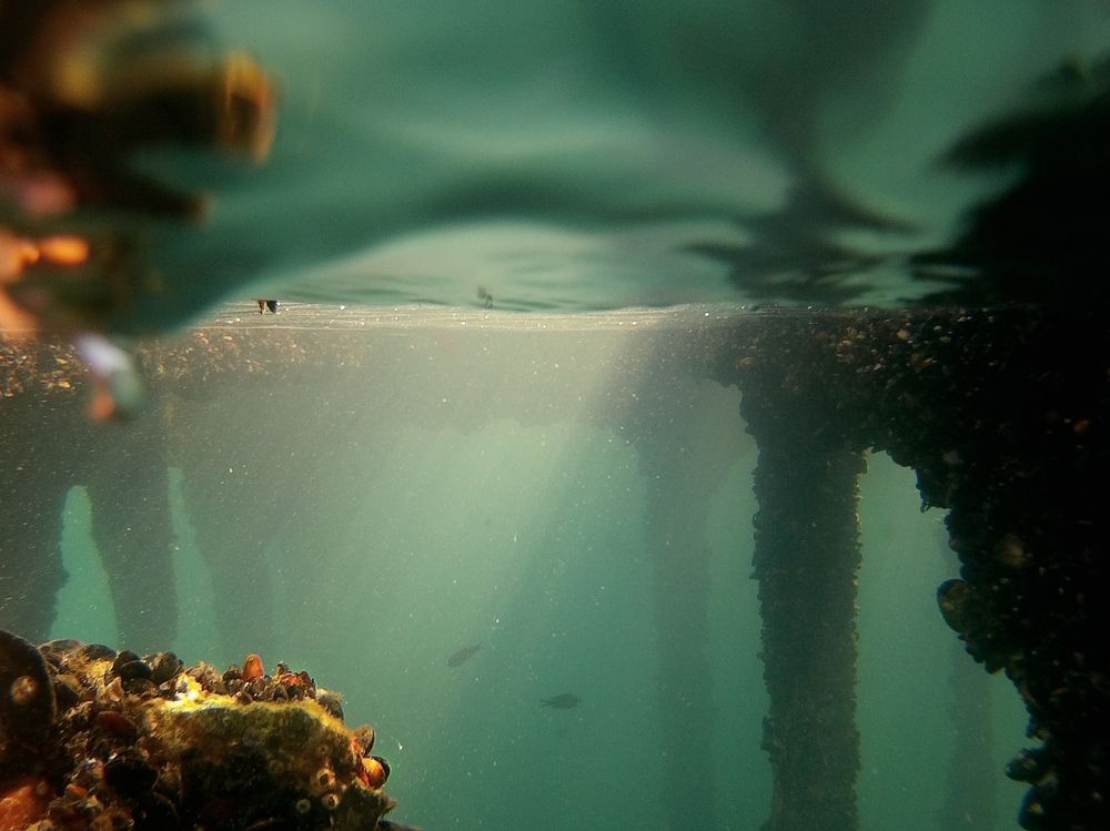 Photograph by Анастасия Парчевская