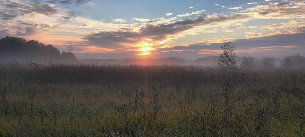 Photograph by Новиков Михаил