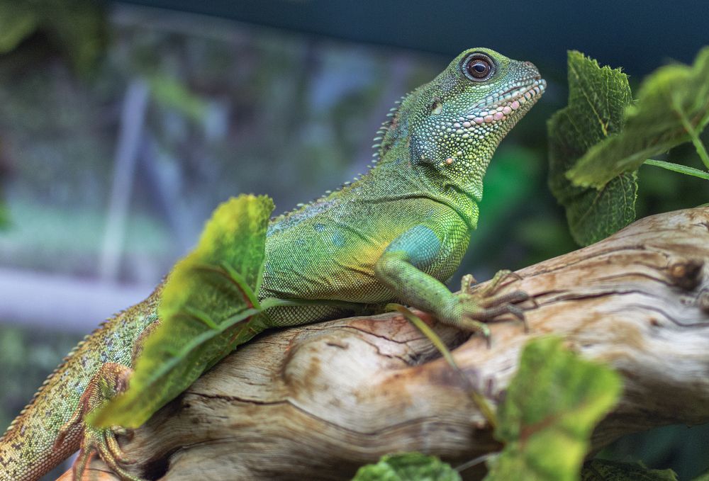 Photograph by Светлана Мельник