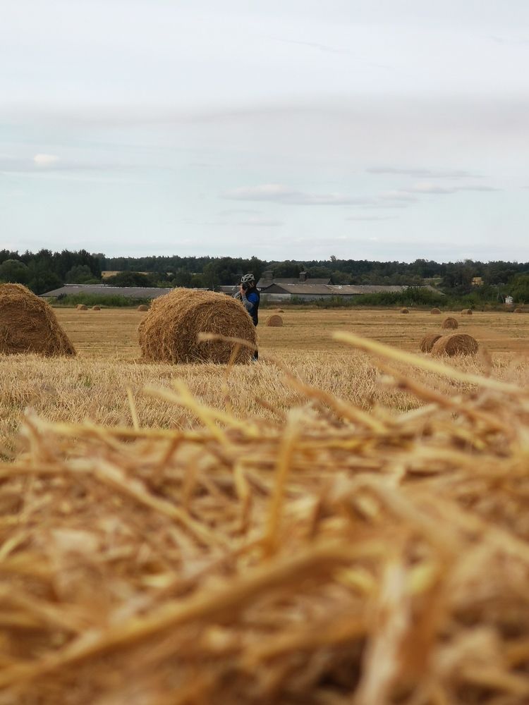 Photograph by Юлия Сафронова