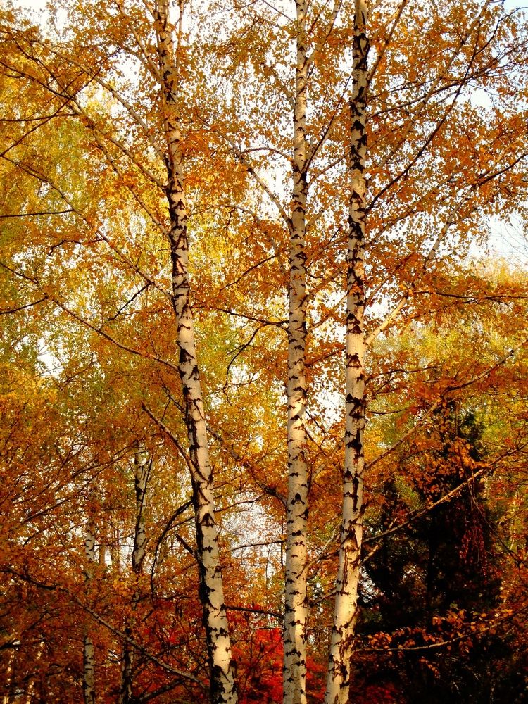 Photograph by Екатерина Якушева