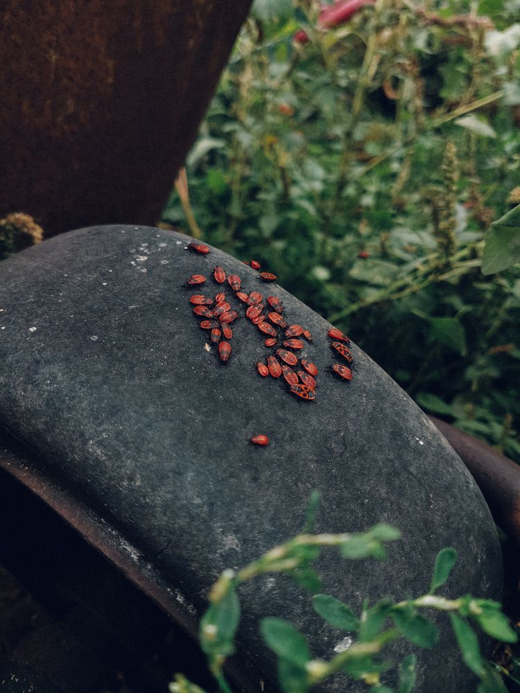 Photograph by Данил Батурин