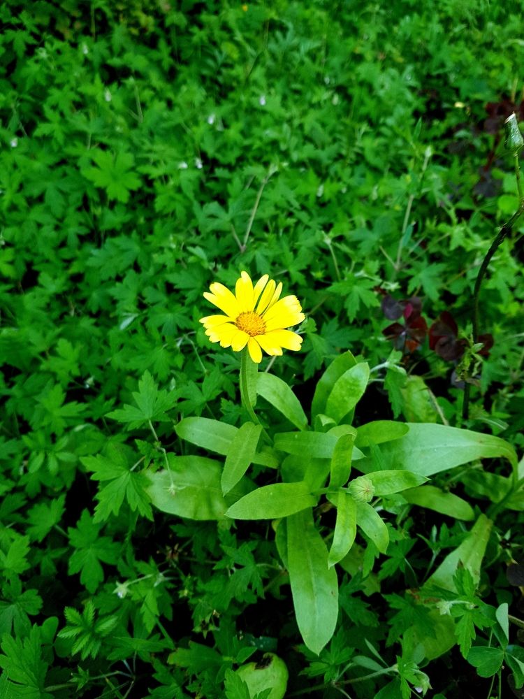 Photograph by Dmitrij Zykunov