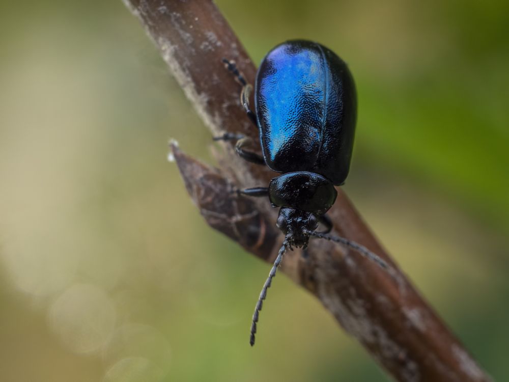 Photograph by андрей гусев