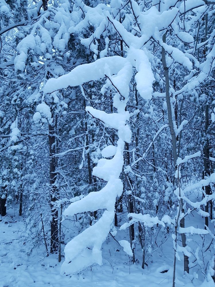 Photograph by Dmitrij Zykunov