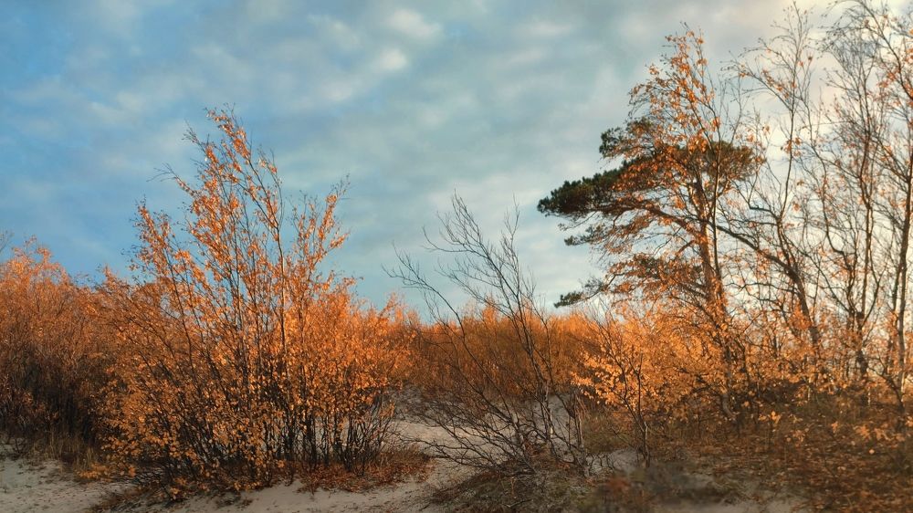 Photograph by Илья Шевелев