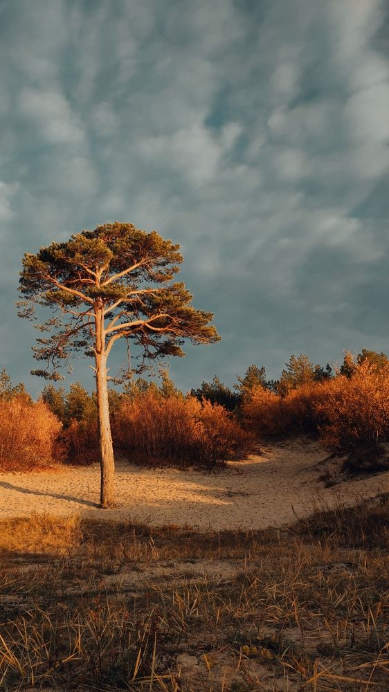 Photograph by Илья Шевелев