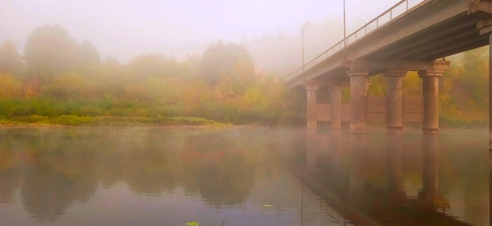 В сиреневом тумане