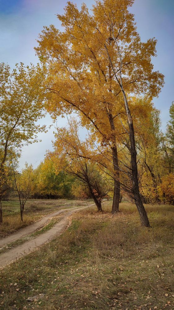 Фотография автора Анастасия Мамаева