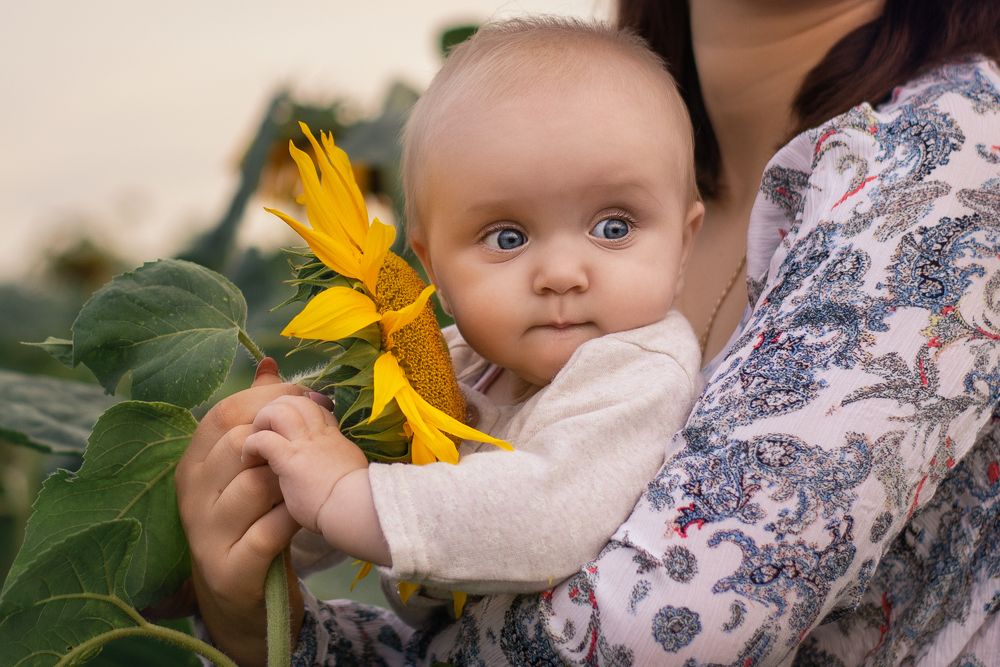 Фотография автора Алёна Подгорная