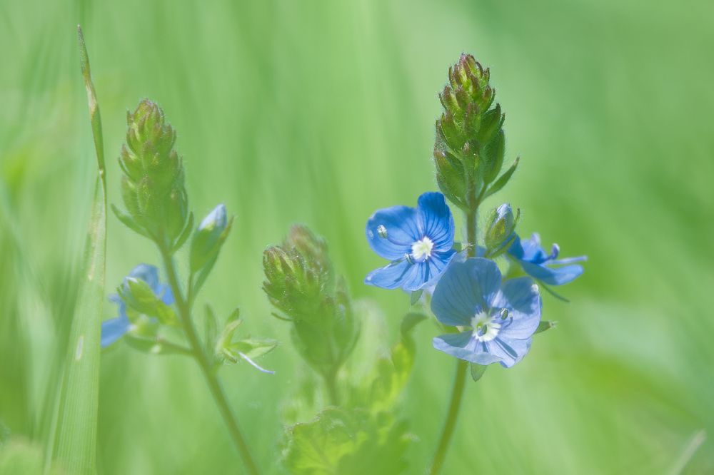 Photograph by Василий Арлашов