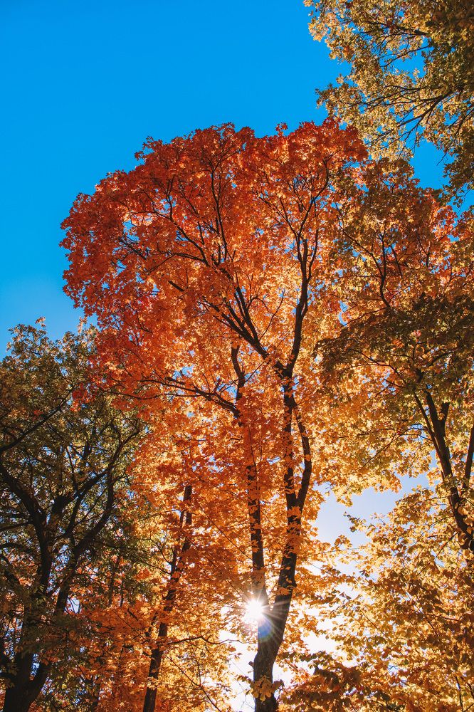 Photograph by Maria Kurakhtanova