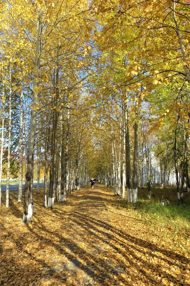 Фотография автора Светлана Чехлань