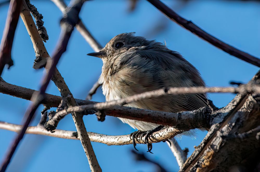 Photograph by Александр Перегудов
