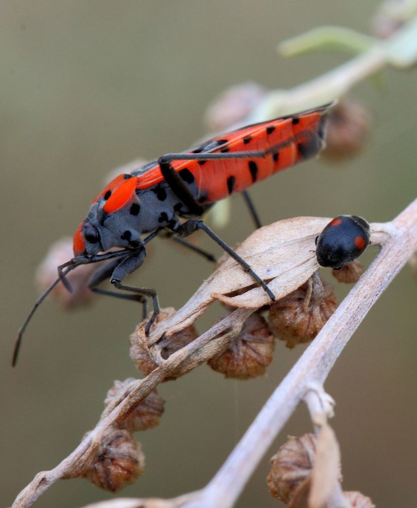 Photograph by Юрий Варюхин