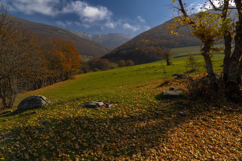 Photograph by majid hashemi