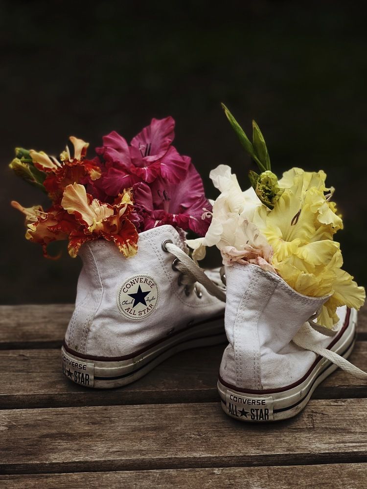 Photograph by Алена Жирова